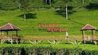 Rekomendasi 5 Wisata Brebes Kekinian, Liburan Seru dengan Harga Tiket Ramah di Kantong