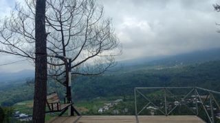 5 Tempat Wisata Hits Instagramable di Pemalang, Healing Murah dengan View Mewah