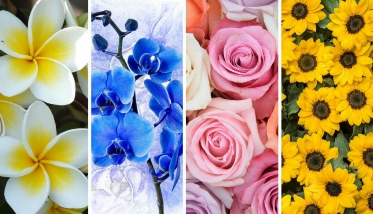 Berikut ini tes psikologi yang akan mengungkapkan tantangan anda di masa depan dengan memilih bunga pada gambar.