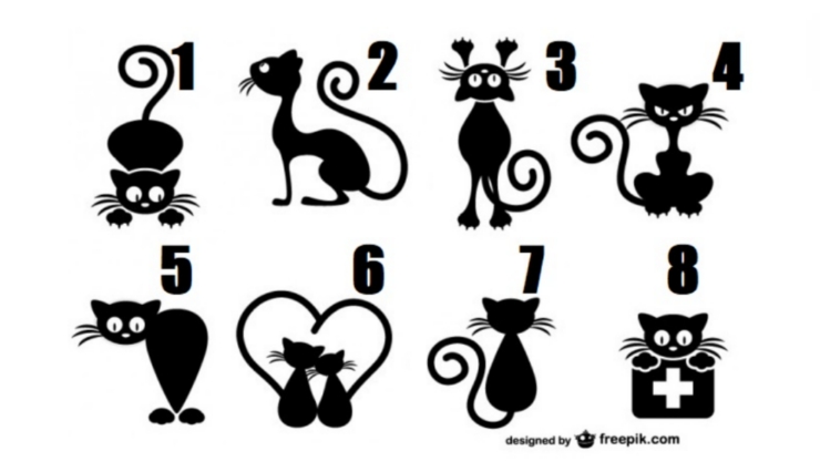 Berikut ini tes kepribadian yang akan mengungkapkan sisi karakter anda dengan memilih kucing pada gambar.