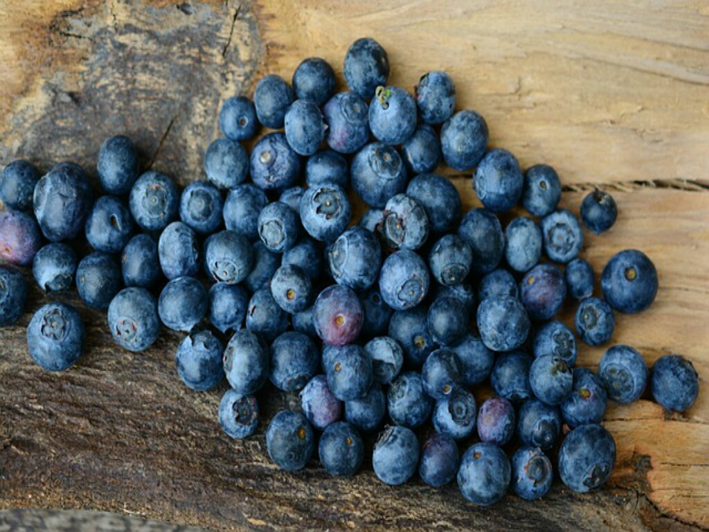 Cara Simpan Buah Blueberry Bisa Pakai 3 Metode Ini agar Tetap Segar