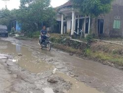 Kondisi Jalan Kabupaten Ketanggungan-Ciseureuh Rusak