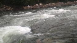 Fakta Sungai Serayu